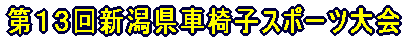 PRVԈ֎qX|[c 
